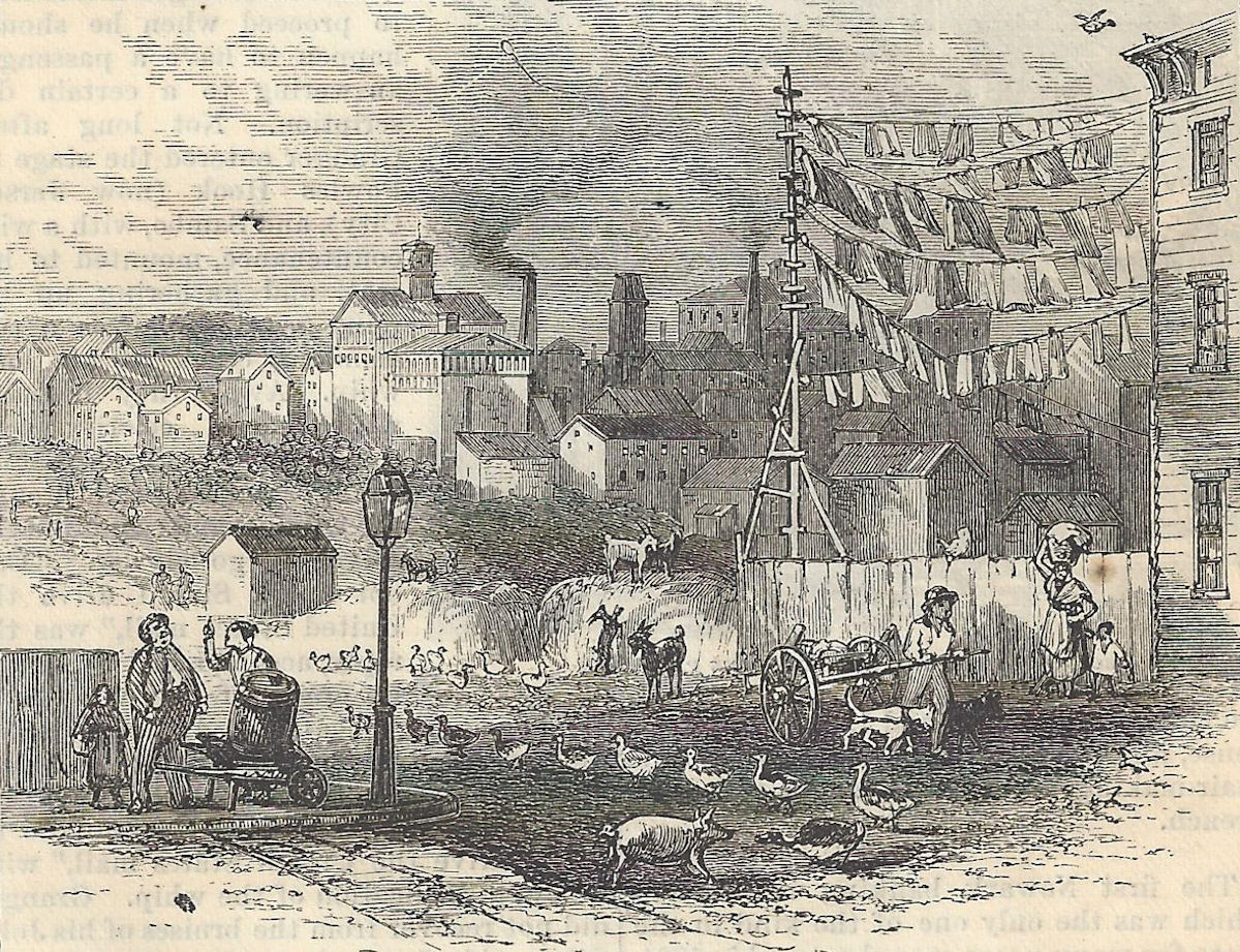 Photo from Harper's New Monthly Magazine, October 1876
