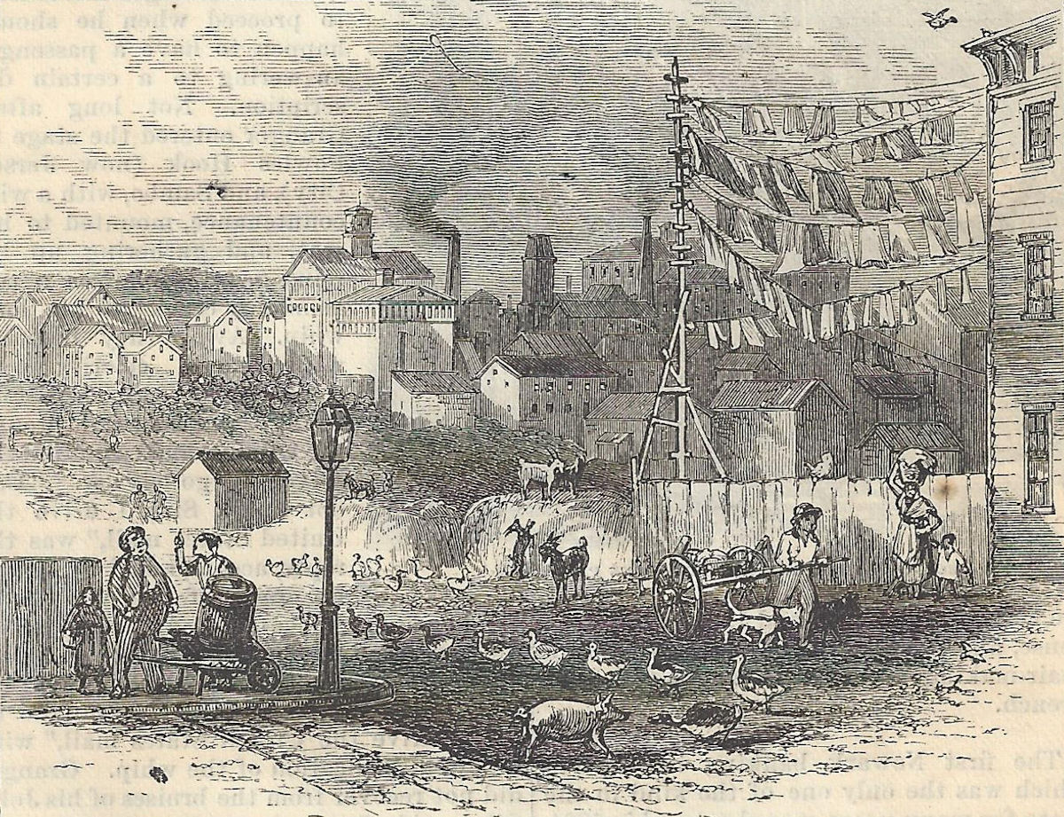 Photo from Harper's New Monthly Magazine, October 1876
